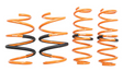 Megan Racing® (22+) Honda Civic FEx/FLx Lowering Springs