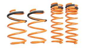 Megan Racing® (19-25) Subaru Forester SK Lowering Springs