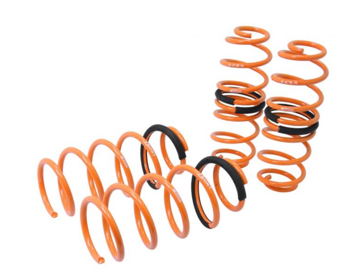 Megan Racing® (09-17) Ford Fiesta B299/B409 Lowering Springs