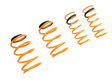 Megan Racing® (05-11) Ford Focus MK2 Lowering Springs