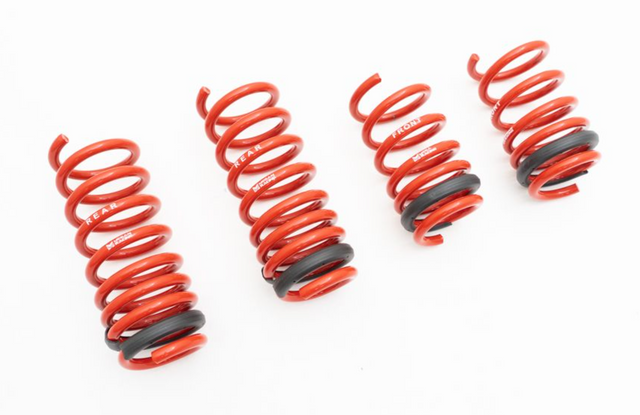 Megan Racing® (16-24) Audi R8 Type 4S Lowering Springs