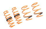 Megan Racing® (16-20) Hyundai Elantra AD Lowering Springs