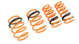 Megan Racing® (09-19) Ford Flex V6 Lowering Springs