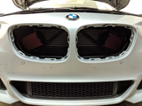 ARM Motorsports® (11-19) BMW 550i/650i/750i N63B44 Cold Air Intake System with Dry Filters