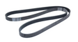 Mopar® #5184647AB (11-15) 300/Challenger/Charger/Durango/Grand Cherokee V6 Serpentine Belt