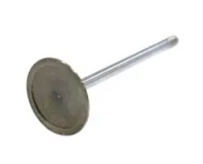 Mopar® #53022087AD (09-26) Mopar 5.7L HEMI VVT/MDS Right Cylinder Head Intake Valve