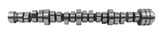 Mopar 53022263AF 5.7L 345cu MDS/VVT Hydraulic Roller Camshaft 