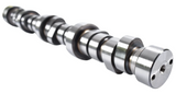 Dodge/Jeep/RAM 5.7L VVT/MDS OE Hydraulic Camshaft/Roller Lifters