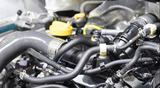 Kingman Speed® (11+) Ford Mustang/F-150 5.0L/5.2L Coolant T-Connector Hose