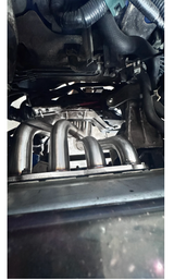 03-08 Acura TSX/Honda Accord K24A2 Long Tube Headers Catless Mid-Pipe