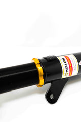 Dynamic Pro Air Struts - Volkswagen Taos 2022-2025 (AWD)