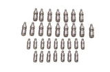 Ford Racing Ford GT and Mustang SVT 5.4L Lash Adjusters