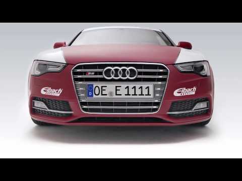 EIBACH EIBE10-27-013-01-22