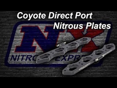 Nitrous Express® Ford Coyote Direct Port Plate Nitrous Oxide System