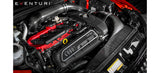 Eventuri® (15-20) Audi RS3 8V Carbon Fiber Cold Air Intake System