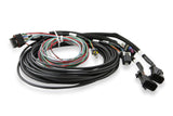 Holley® EFI 6.86" Standalone Pro Dash Programmer