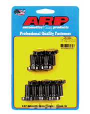 ARP® 230-3002 - 12 Point Ring Gear Bolt Kit 