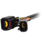 MSD® (96-08) Mustang GT DIS-4 to Ford 4.6 Modular Engine Ignition Harness