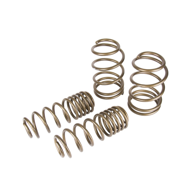 Hurst® (05-10) Mustang GT 1" x 1" Elite Series Lowering Springs