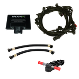 Advanced Fuel Dynamics® (09-13) Silverado/Sierra ProFlex™ Commander FlexFuel System
