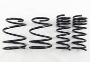 Stillen® (15-21) Subaru WRX STI Lowering Springs