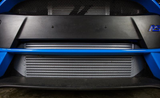 MISHIMOTO MMINT-RS-16