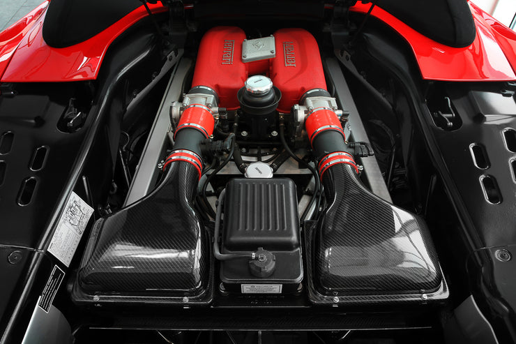FabSpeed® (00-04) Ferrari 360 Carbon Fiber Airbox Covers 