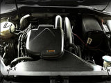 ArmaSpeed® (13-21) Golf MK7 Carbon Fiber Air Intake System