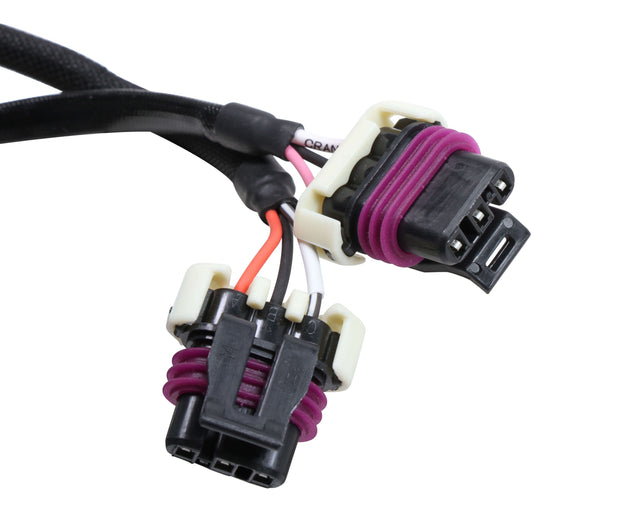 MSD® GM LS2 6LS Ignition Adapter Harness