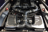 FabSpeed® (95-99) Ferrari F355 Carbon Fiber Air Box Covers (5.2 Models Only) 