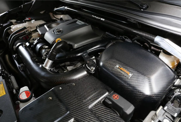 ArmaSpeed® (15-20) NX 200T Carbon Fiber Air Intake System