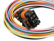NOS® Replacement Wiring Harness For Kit #25974NOS - 10 Second Racing