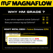 MagnaFlow Conv DF 04-06 F-150 5.4 2WD P/S 49S