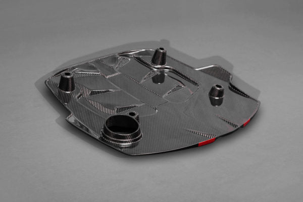 Capristo® (17-23) Audi RS5 Carbon Fiber Engine Cover and Lock Cover Set