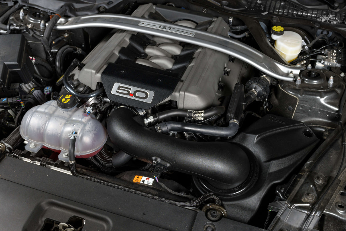 Holley® 223-03 (15-17) Mustang Coyote 5.0L INTECH Cold Air Intake 