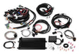 Holley® 550-613 - Terminator™ LS MPFI Kit 