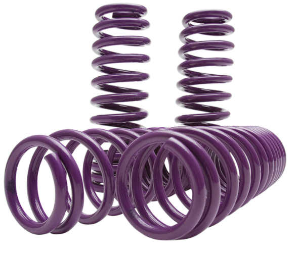 D2 Racing® (11-23) Charger RWD 1.8" x 2" Pro Series Lowering Springs