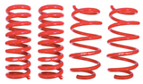 BMR Suspension® (05-23) Mopar V8 1.25" Drop Lowering Coil Springs